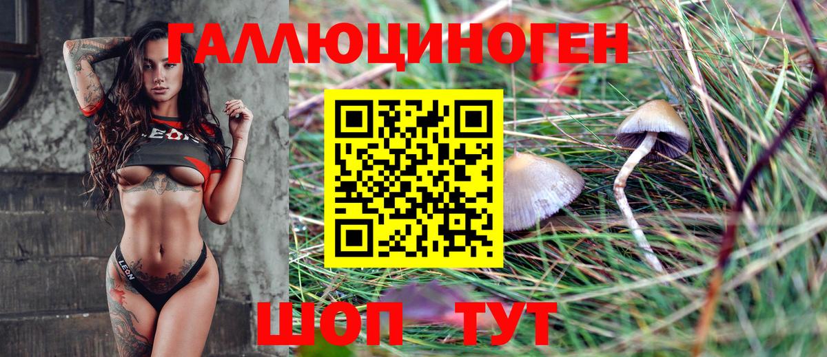 Галлюциногенные грибы GOLDEN TEACHER Выкса