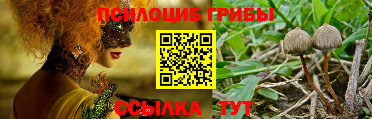 Псилоцибиновые грибы Magic Shrooms  Галлюциногенные грибы ЛСД  Выкса  Вход с VPN 